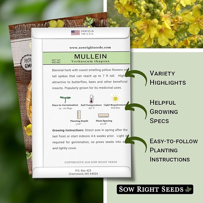 Sow Right Seeds - Mullein Seeds for Planting - Non-GMO Heirloom Variety - Ideal for Gardens, Landscaping, Medicinal Herbs - Easy to Grow - Indoor or Outdoor Growing - Herb Garden (1)
