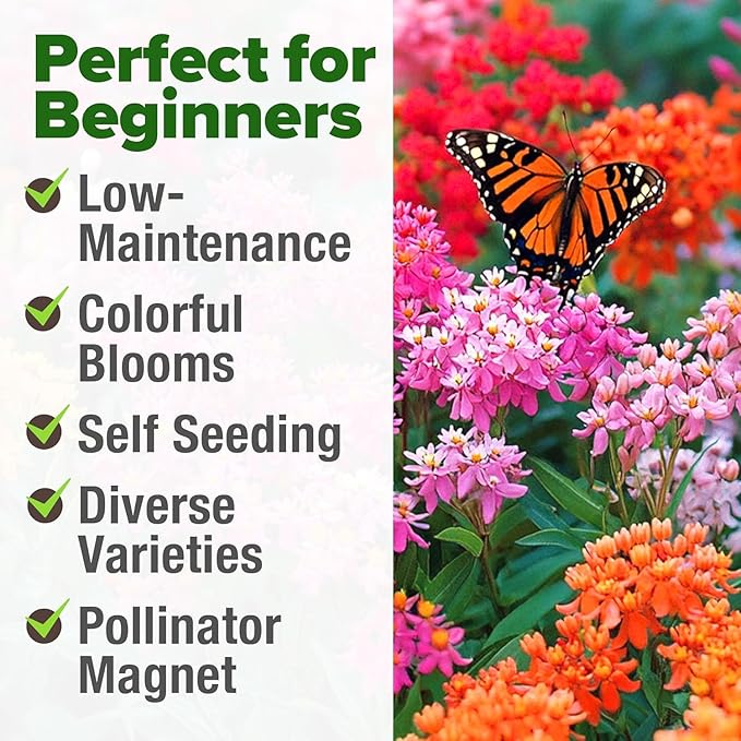 HOME GROWN Milkweed Seeds for Planting - 5 Varieties (Butterfly, Common, Pink Swamp, Prairie, Showy) 500+ Heirloom Non-GMO Seeds - Pollinator Garden Starter Kit for Monarch Butterflies