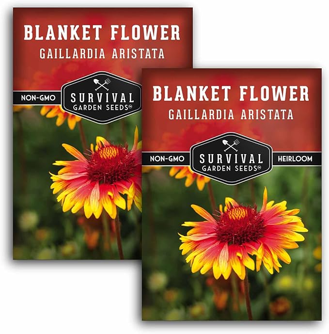 Blanket Flower Seeds for Planting - Perennial Gaillardia Aristata Firewheel Wildflower, Drought Tolerant Native Flower Seeds - Survival Garden Seeds (2 Packs)