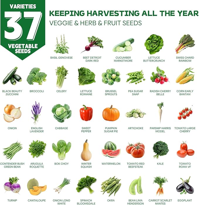 37 Vegetable Seeds - 18,000+ Non GMO Heirloom Home Garden Seeds for Planting Vegetables Indoor and Outdoors, Fruit and Vegetable Seeds Variety Pack with Tomato, Basil, Cucumber, Lettuce and More