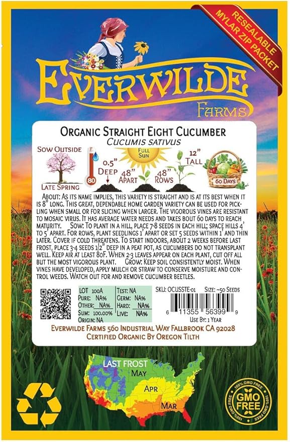 Everwilde Farms - 50 Organic Straight Eight Slicing Cucumber Seeds - Gold Vault Packet