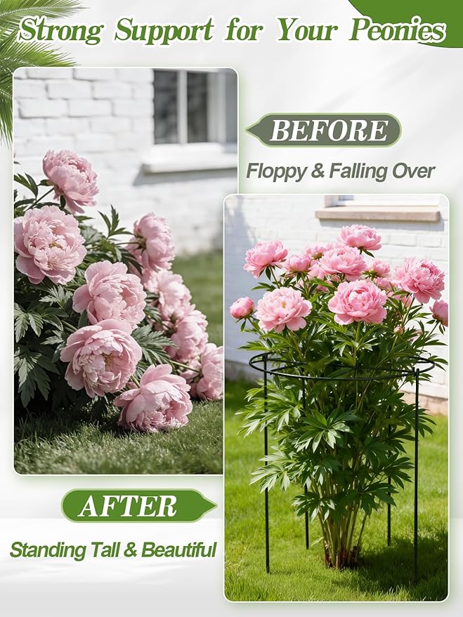 4 Sets 23.6''H x 18''Dia Large Peony Cages and Support - 4mm Heavy-Duty Metal Legs, Plant Support Cage for Outdoor Plants, Flower Trellis for Hydrangea Rose Tomato