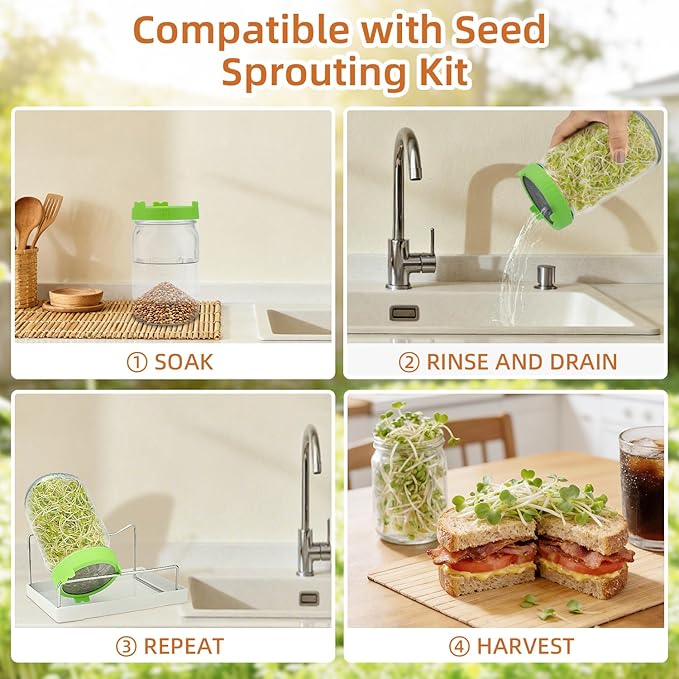 Organic Radish Sprout Seeds (16 oz), Certified Non-GMO, Heirloom Seeds, Premium Radish Sprouting Seeds for Sprouting and Microgreens, High Yield High Germination, Resealable Bag
