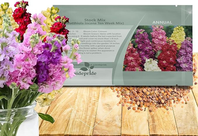 Outsidepride Ten Week Mix Mattiola Stock Seeds - 2000 Pcs Annual Flower Seeds for Planting with Fragrant Blooms That Attract Pollinators, Compact Growth, for Cut Flower Arrangements & Containers