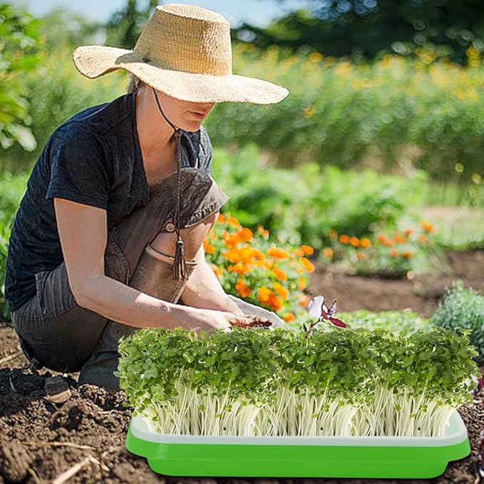 Seed Sprouter Tray 2PCS Soil-Free Wheatgrass Grower Sprouting Container with Lid 20CPS Germinating Growing Paper