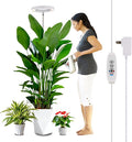 WaterRebirth 8 inch LED Grow Light for Indoor Plants, Full Spectrum Halo Plant Light with 3/9/12H Auto Timer, 10-Level Dimmable, Height Adjustable for Tall Plants