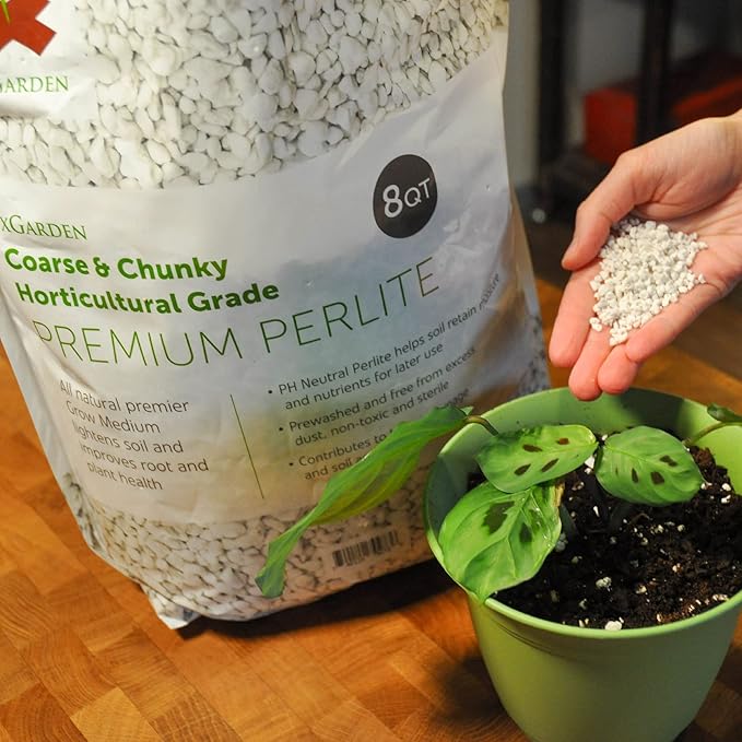 xGarden Horticultural Grade Perlite for Plants Indoor & Outdoor, Coarse & Chunky for House Plants, Gardening & Potting Mix, Organic Soil Amendment, 8 Quarts Bulk