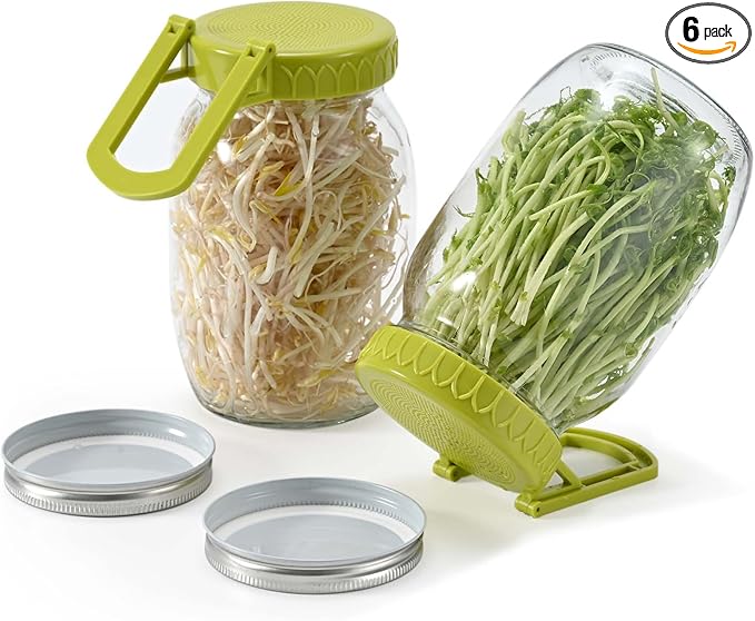 Complete Sprouting Kit - 2 Large Wide-Mouth Mason Jars 32 Oz, 2 Foldalbe Screen Lids with Draining Stand, 2 Metal Canning Lids, Bean Sprouts Grow Kit for Broccoli alfalfa
