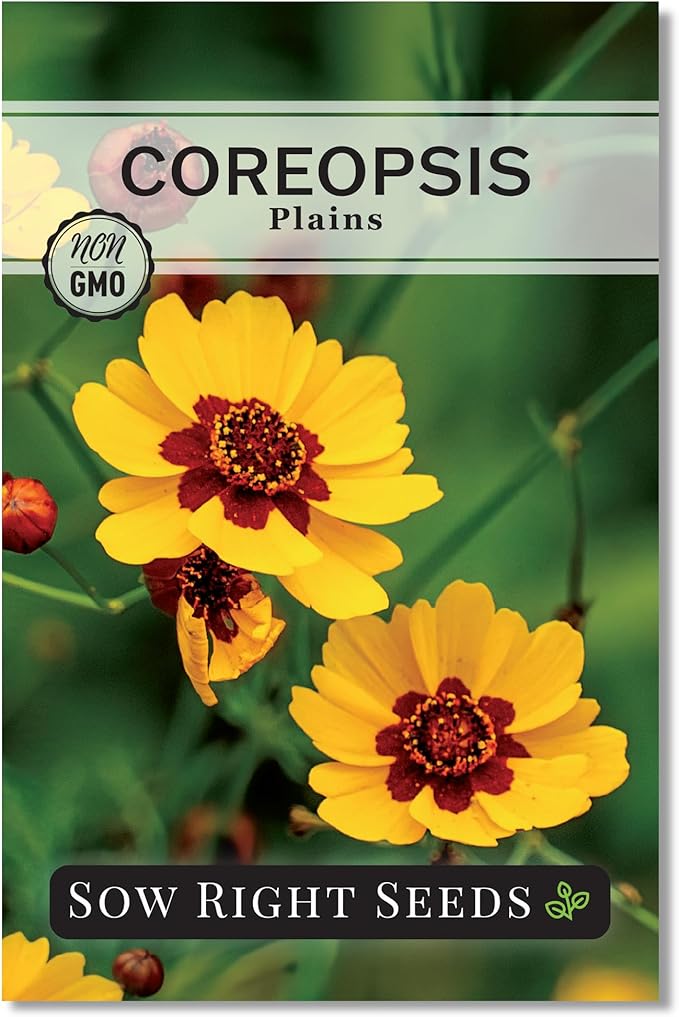 Sow Right Seeds - Plains Coreopsis Seeds - Non-GMO Heirloom Annual Variety - Pollinator Friendly, Drought Tolerant Flowers - Easy to Grow Tickseed - Ideal for Gardens, Borders, Wildflower Areas (1)