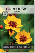 Sow Right Seeds - Plains Coreopsis Seeds - Non-GMO Heirloom Annual Variety - Pollinator Friendly, Drought Tolerant Flowers - Easy to Grow Tickseed - Ideal for Gardens, Borders, Wildflower Areas (1)