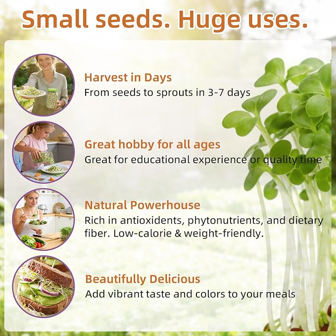 Organic Radish Sprout Seeds (16 oz), Certified Non-GMO, Heirloom Seeds, Premium Radish Sprouting Seeds for Sprouting and Microgreens, High Yield High Germination, Resealable Bag