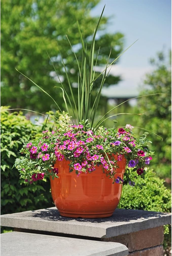 Garden Elements Indoor/Outdoor Glazed Brushed Happy Plastic Planter, Large, Bright Orange, 15"