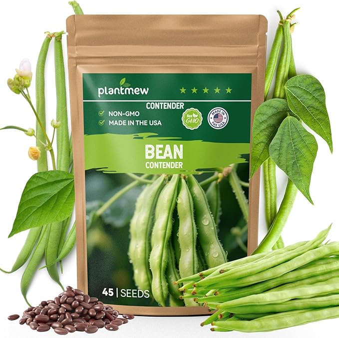 Contender Bush Bean Seeds - 45 Heirloom, Non-GMO Seeds - High Yield Stringless Green Bean for Home Vegetable Garden, Containers