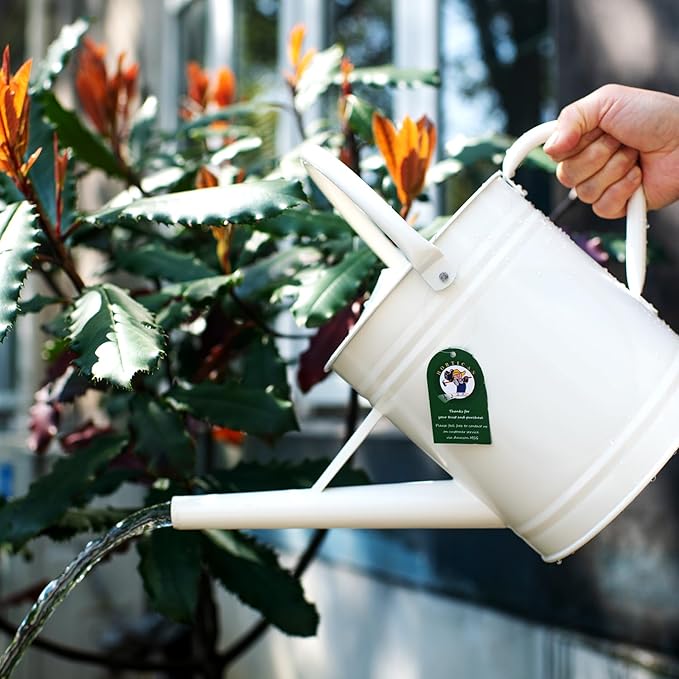 1 Gallon Watering Can, Matte Cream, Metal Watering Can with Removable Spout, Galvanized Water can, Perfect Plant Water Can for Outddor and Indoor Use