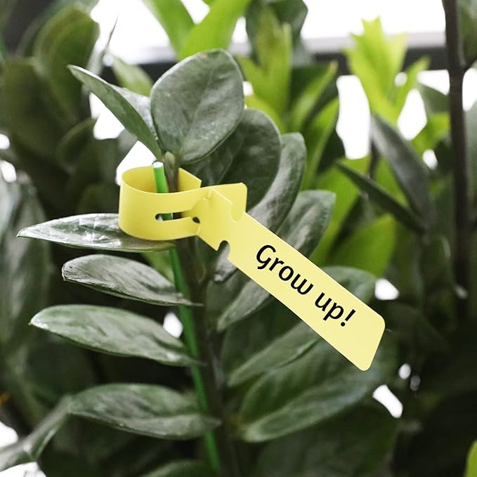 1000 Pcs 5 Colors Plastic Plant Hanging Tree Tags Nursery Garden Lables Tags Large Writing Surface,2x20cm(Box of 1000)