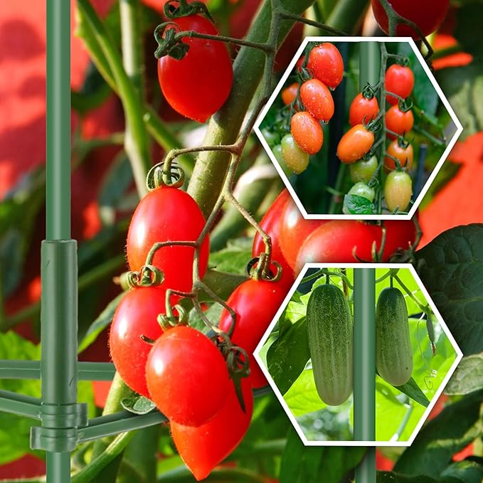 2 Pack 47" Tomato Cages with 10 Gallon Grow Bag Adjustable Tomato Cages for Garden Trellis Pots for Potted Plants Vertical Climbing Vegetables Outdoor Indoor