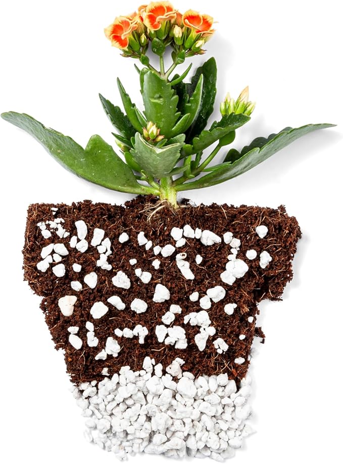 Perlite Bliss (4 Cubic Ft) - Organic Perlite for Plants Indoor Soil Amendment - Bulk Perlite for Gardening & Seed Starting - Mixes Easily with Potting Soil, Vermiculite, & Coco Coir for Plants