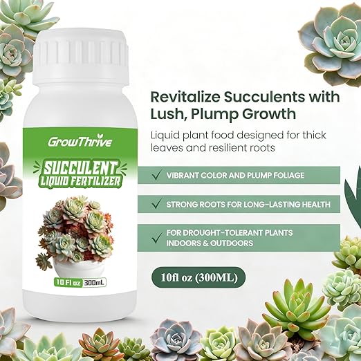 Succulent Liquid Fertilizer 10oz – Organic Plant Food for All Succulents & Cacti, Natural Probiotic Formula, Root & Leaf Growth Booster, Easy to Use 1:400 Concentrate, Odor-Free