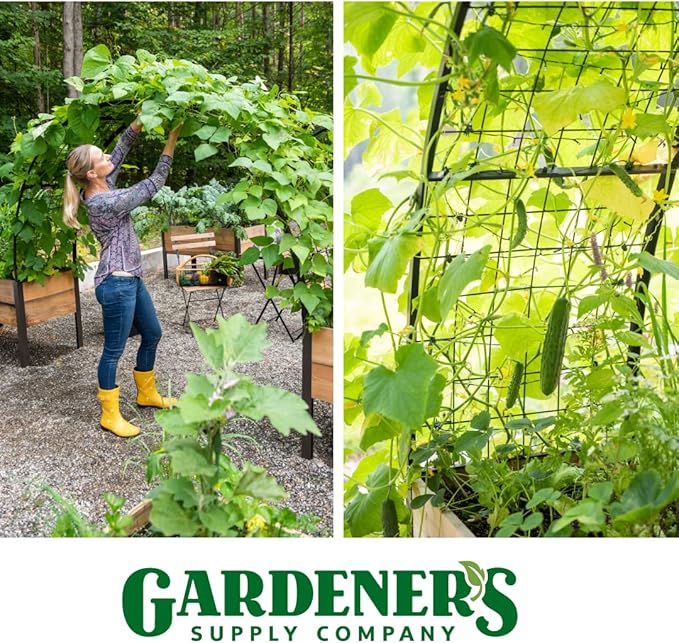 Gardener’s Supply Company Arch Trellis | Garden Arbor fits 2' x 8' Elevated Planter Boxes for Climbing Plants, Vegetables and Flowers | Decorative Outdoor Gardening Landscape