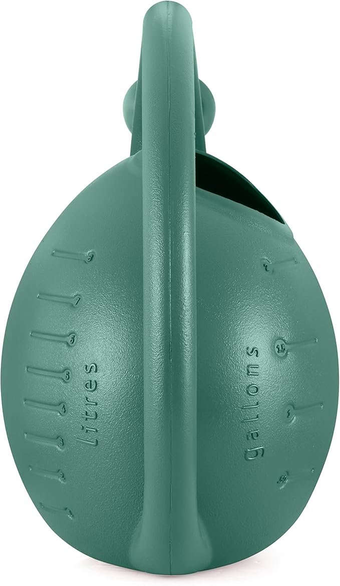 2-Gallon Premium Plastic Rosette Watering Can - The HC Companies 11"x21"x13.75" in Evergreen Color