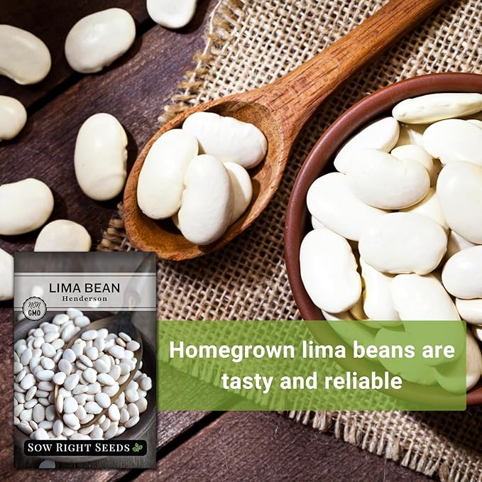 Sow Right Seeds - Bush Henderson Lima Bean Seeds for Planting - Non-GMO Heirloom Packet, Instructions to Plant an Outdoor Home Vegetable Garden - White Lima Variety - Great for Canning or Freezing (2)