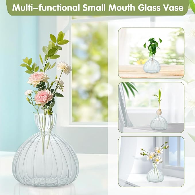 Large Avocado Vase Grow Glass Bulb Vases Striped Acorn Seed Starter Vase Avocados Pit Planter Pot for Gardening Lover Indoor Hydroponics
