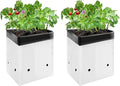 VIVOSUN 100-Pack 1 Gallon Grow Bags for Plants, Black-and-White Panda Film Containers Thick Plastic Bag for Potting Seedlings, and Rooting