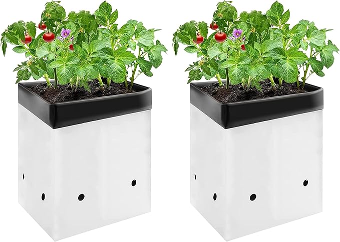 VIVOSUN 100-Pack 1 Gallon Grow Bags for Plants, Black-and-White Panda Film Containers Thick Plastic Bag for Potting Seedlings, and Rooting