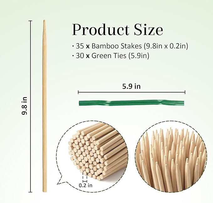 Plant Stakes for Indoor Plants – MAQIHAN 40PCS Plant Support Sticks, 9.8 Inch Stakes for Potted Plants, Orchids & Seedlings, Garden Stake with 30pcs Green Ties