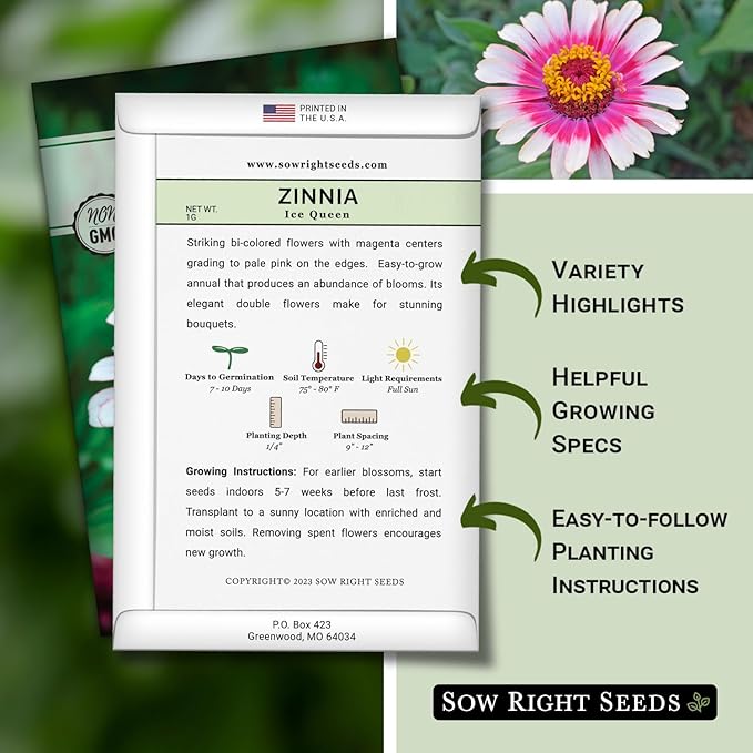 Sow Right Seeds - Zinnia Ice Queen Flower Seeds for Planting - Beautiful Flowers to Plant in Your Garden - Non-GMO Heirloom Seeds - Pink with White Tips Variety - Attract Pollinators - Cut Flower (2)