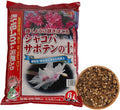 Japanese Cactus, Succulent & Aloe Vera Potting Soil Mix - 6L Peat-Free
