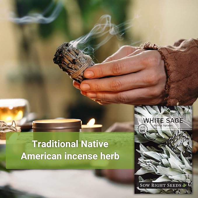 Sow Right Seeds - White Sage Seed for Planting - Non-GMO Heirloom Packet with Instructions for Planting and Growing a Home Herb Garden - Indoors or Outdoors - Make Your Own Herbal Incense (1)