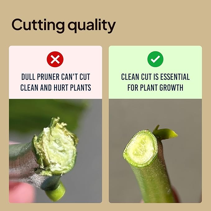 Lime Bypass Pruning Shears & Clippers - Cuts 3x Easier, Ideal for Seniors