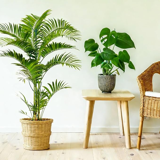 20Pack Monstera Plant Support Stakes, Stackable Plant Support Stakes in Bulk, with 20 Twist Clips & 16.4FT Plant Ties, Plant Stakes for Outdoor Indoor Potted Plants Reusable Climbing Plant Support