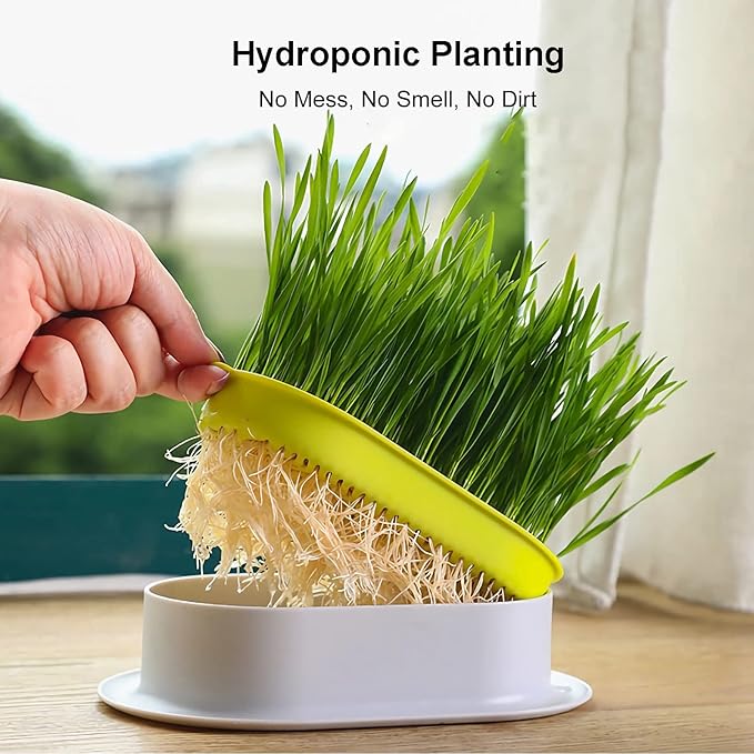 3Pcs Cat Grass Planter (No Seeds Included) Wheatgrass Planting Trays Hydroponic Cat Grass Growing Kits for Indoor Cats Soilless Organic Nursery Box Pet Grass Pot (H)