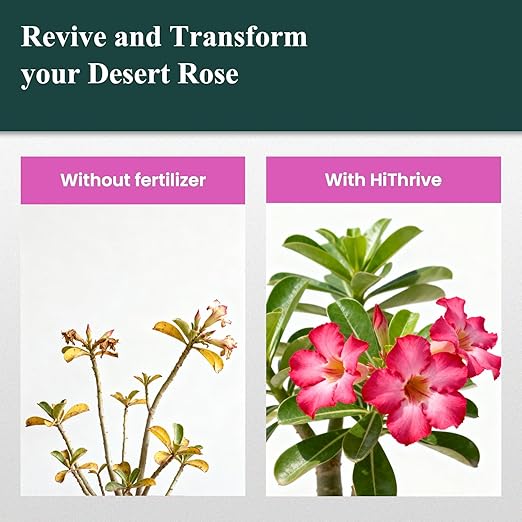 Desert Rose Liquid Fertilizer – Natural Probiotic Plant Food for Adenium, 10 oz Bottle with Measuring Cap, Organic Nutrient Boost for Greener Leaves, Strong Roots & Vibrant Blooms