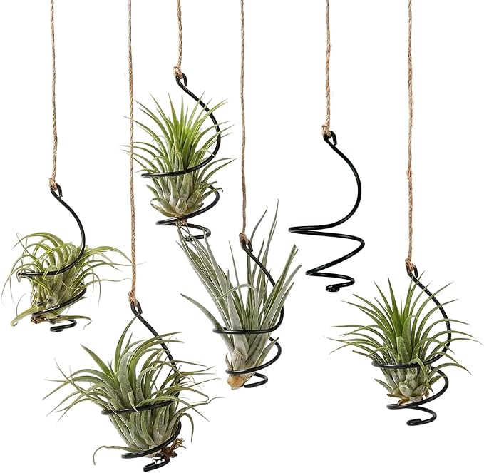 6 Pack Air Plant Holder Hanging Metal, Adjustable Tillandsia Holders with Jute Rope, Minimalist Hanging Air Plant Holder Display for Succulents, Boho Wall Decor Window Plants Hanger
