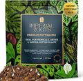 Premium Indoor Plant Potting Mix (4qt) – Peat-Free, Well-Draining Soilless Blend for Aroids & Tropical Houseplants with Coco Coir, Biochar & Pumice