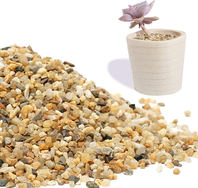 Coarse Sand Stone 1LB Decorative Rocks Sand Stone,Mix Coarse Sand for Plants,Soil Cover Bonsai,Succulent,Terrarium,Course,Garden,Cactus Sand, Aquarium, Fairy Garden, DIY.