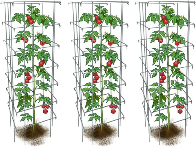 Happy Trees Large Heavy Duty Tomato Cages - Support Trellis for Climbing Vegetables and Plants - 18" x 18" x 58" - Thick Gauge Galvanized Steel, Collapsible Easy Storage, 3-Pack, Made in USA