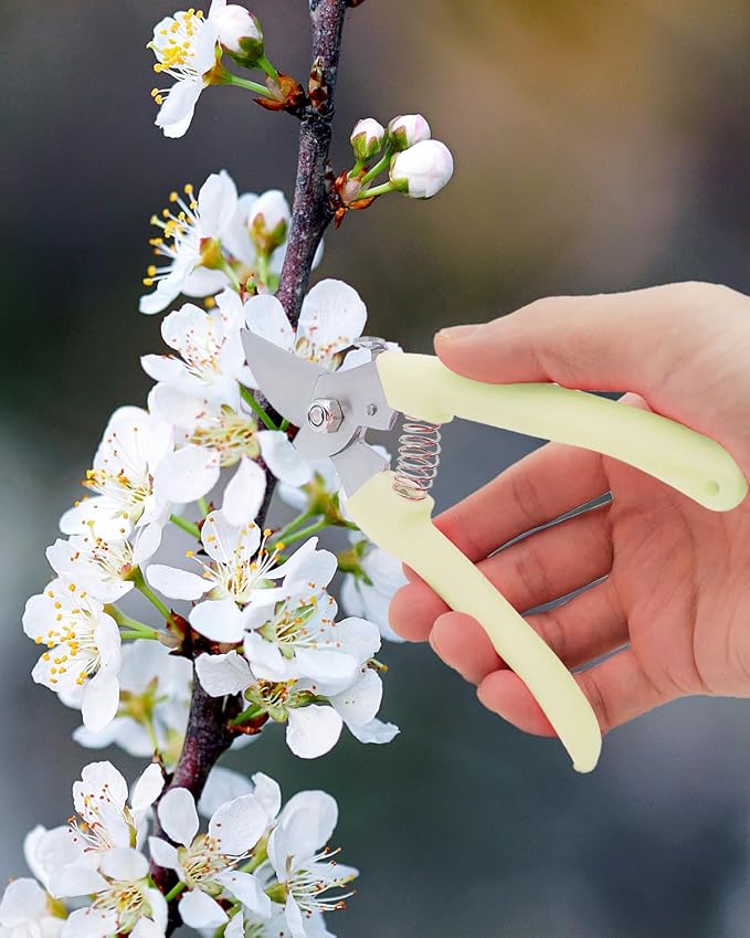 Pruning Shears for Gardening, 2 Pack Garden Scissors for Cutting Fresh Flowers, Floral Clippers for Plants, Fruits (Yellow)
