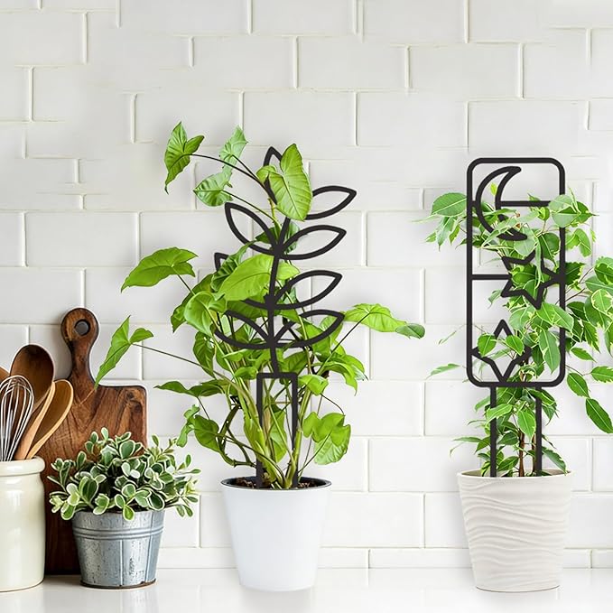4 Pcs Indoor Plant Trellis for Climbing Plants, Small Trellis for Potted Plants, Garden Metal Trellis Plant Support Trellis with Different Patterns for Vine Ivy Flower (Unique)