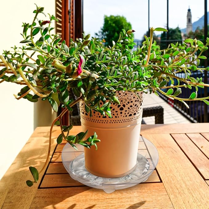 ANPHSIN 15 pcs Heavy-Duty Plant Saucers with Feet, 6in/8in/10in Clear Plastic Plant Drip Trays, Flower Pot Water Catchers Drainage Saucers for Indoor Outdoor Potted Plant