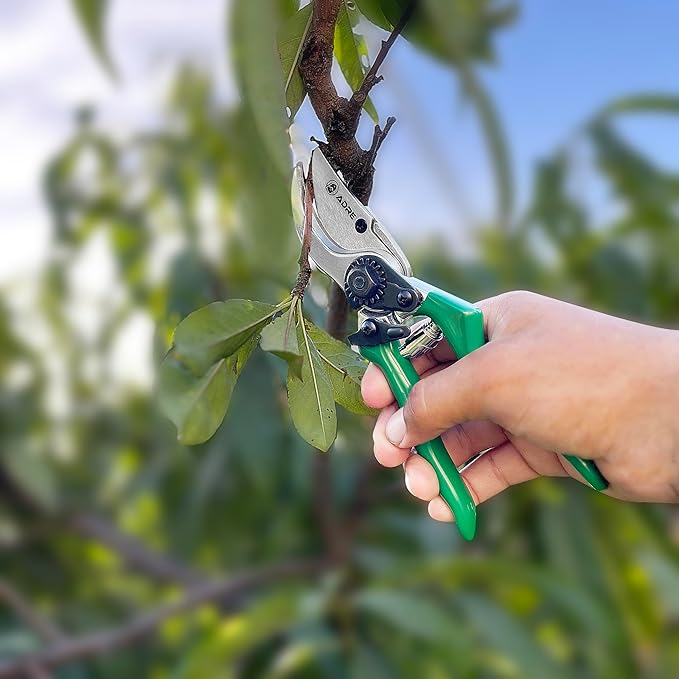 Adre Bypass Garden Pruning Shears – 8-inch Professional Pruning Shears for Gardening – High Carbon Steel Garden Clippers with Non-Slip Handles – Sharp Hand Pruners for Small Branches, Pruning Trimming