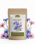 2000 Cornflower Seeds for Planting, Bachelor Button Blue Flower Seeds, Flower Seeds to Plant Outside, Perennial Wildflower Seeds