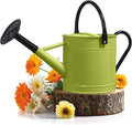 Plexon 1 Gallon Metal Watering Can Outdoor, Flower Plant Gardening Garden Large Green Watering Can Pot, Galvanized Steel Handles - Removable Spray Spout, Green