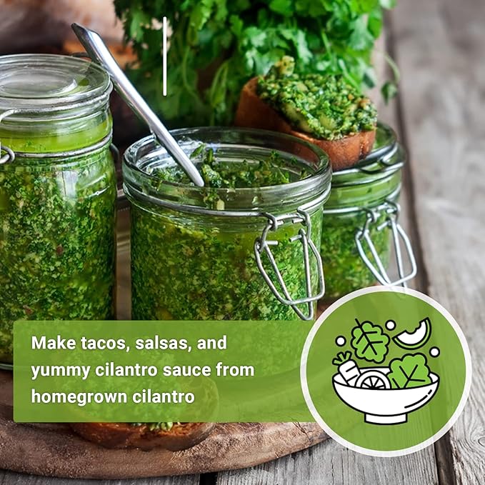 Sow Right Seeds - Cilantro Seeds for Planting - Non-GMO Heirloom Packet with Instructions to Grow a Kitchen Herb Garden - Great Addition to Your Cooking - Make Coriander Seasoning - Zesty Herb (3)