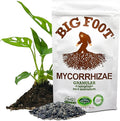 Big Foot Mycorrhizal Fungi Granular for Transplants - for All Plants - Easy to Use Root Stimulator - Treats 240 Plants (60K mycorrhizal Spores) - Double Your Plant Size - 2 Pounds
