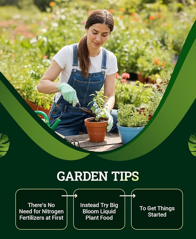 FoxFarm Ocean Forest Potting Soil with 2 Plant Tags, 12 Quarts - Light, Aerated Texture with Fish Meal, Crab Meal, Earthworm Castings - Houseplant Potting Mix for Seedlings & Plant Starts