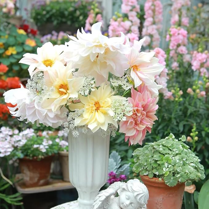 Mix Dahlia Seeds for Planting, 400pcs Rare Perennial Garden Dahlia Flower Seeds Non-GMO Heirloom Flower Plants, Beauty Home Garden for Outdoors